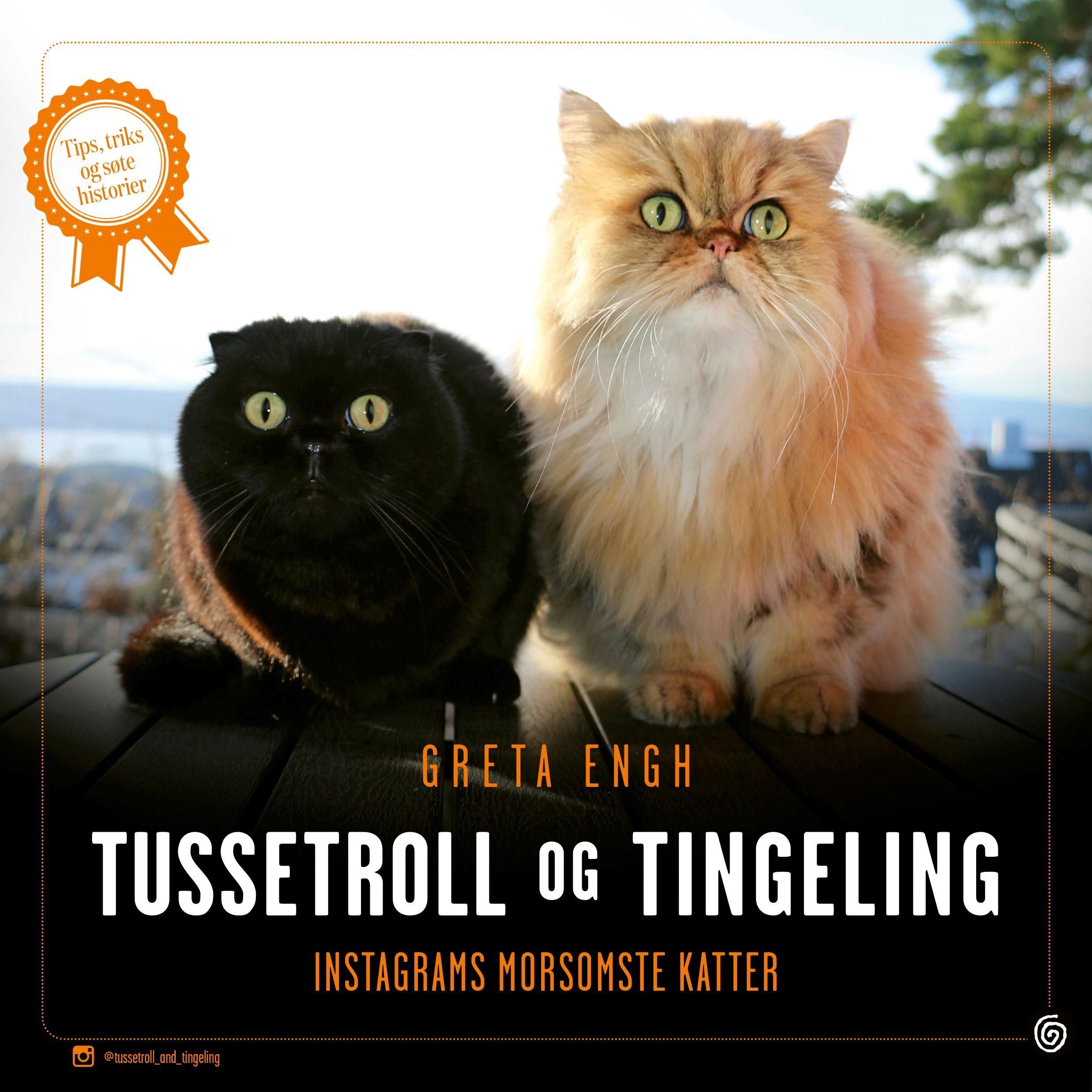 Tussetroll og Tingeling